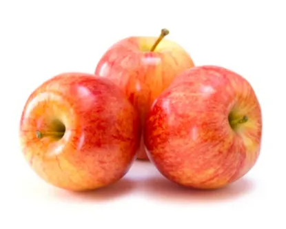 Apple Gala Premium