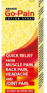 গো-পেইন (স্প্রে) ১০০ মি.লি