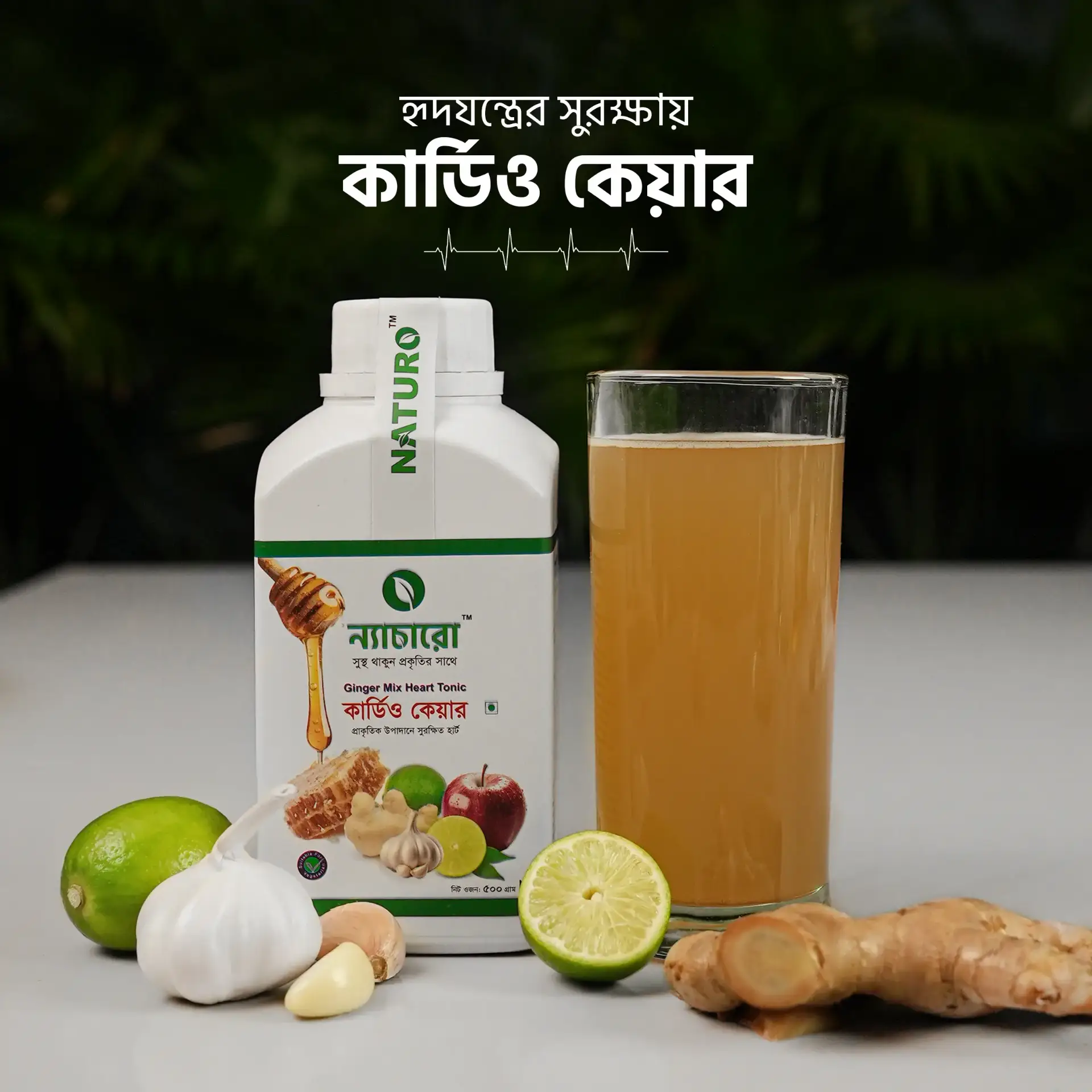 কার্ডিও কেয়ার ৫০০ গ্রাম পাউডার