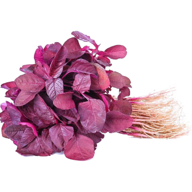 Lal Shak (Red Spinach)