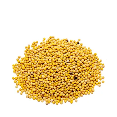 Mustard Seed (Yellow) সরিষা বীজ